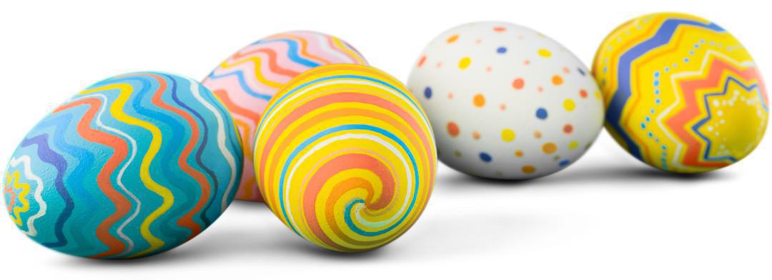 Você já "Caçou ovos"? Você já "Caçou ovos"?