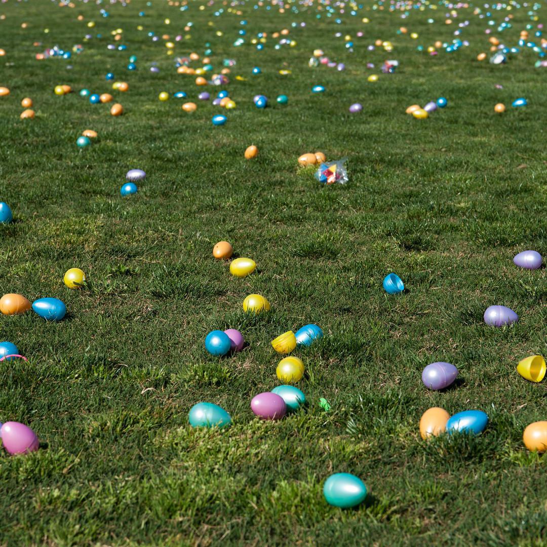 Você já "Caçou ovos"? Você já "Caçou ovos"?