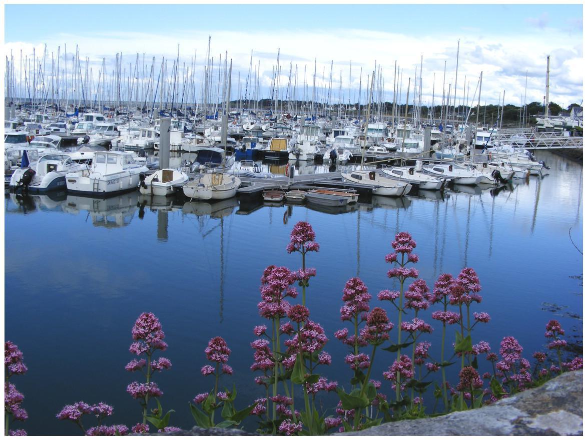 Piriac, 10 chalets Piriac, 10 chalets