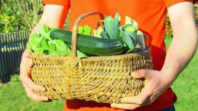 Marché hebdomadaire local bio et solidaire