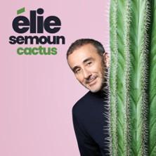 ELIE SEMOUN Au Radiant Le dimanche 8 février 2026 à 18h00