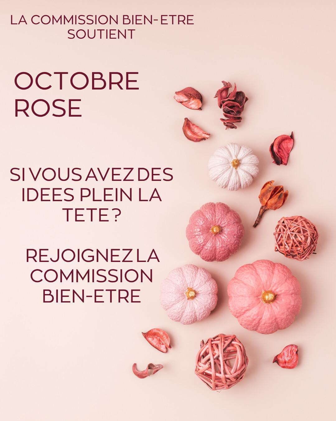 COMMISSION BIEN-ETRE ET SOLIDARITE 