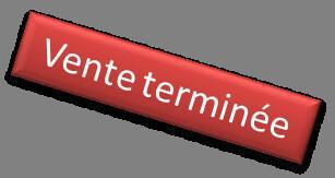 Musée des Confluences : Promo date courte !