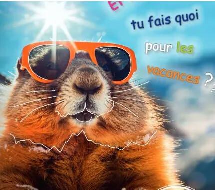 Participation colonies d'Hiver (à choisir parmi des prestataires)