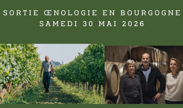 Sortie oenologie en Bourgogne le Samedi 30 mai 2026