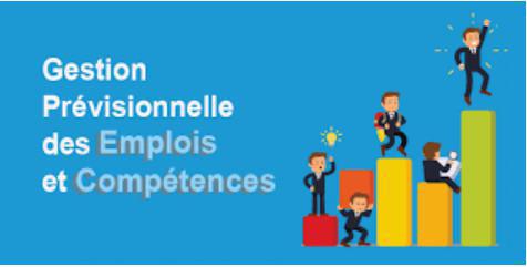 La GPEC chez Schneider : Pour gérer les compétences ou pour accélérer les départs ? La GPEC chez Schneider : Pour gérer les compétences ou pour accélérer les départs ?