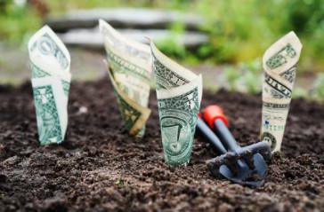 Epargne : ce que les salariés font de leur argent