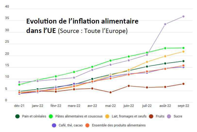 L’essentiel du mois : novembre 2022 L’essentiel du mois : novembre 2022