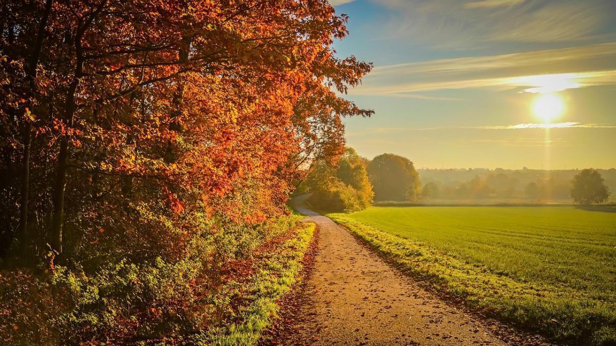 L’essentiel du mois d'Octobre 2024 L’essentiel du mois d'Octobre 2024