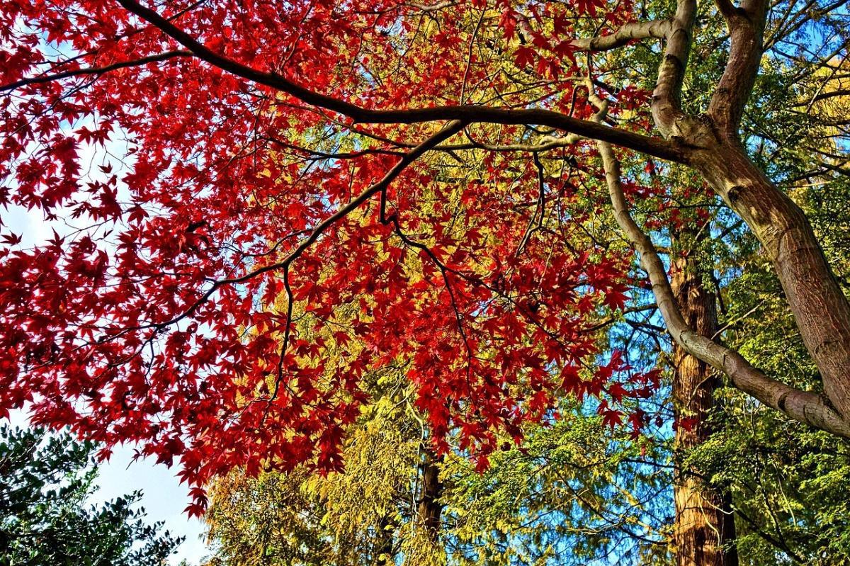 L’essentiel du mois de Novembre 2024 L’essentiel du mois de Novembre 2024