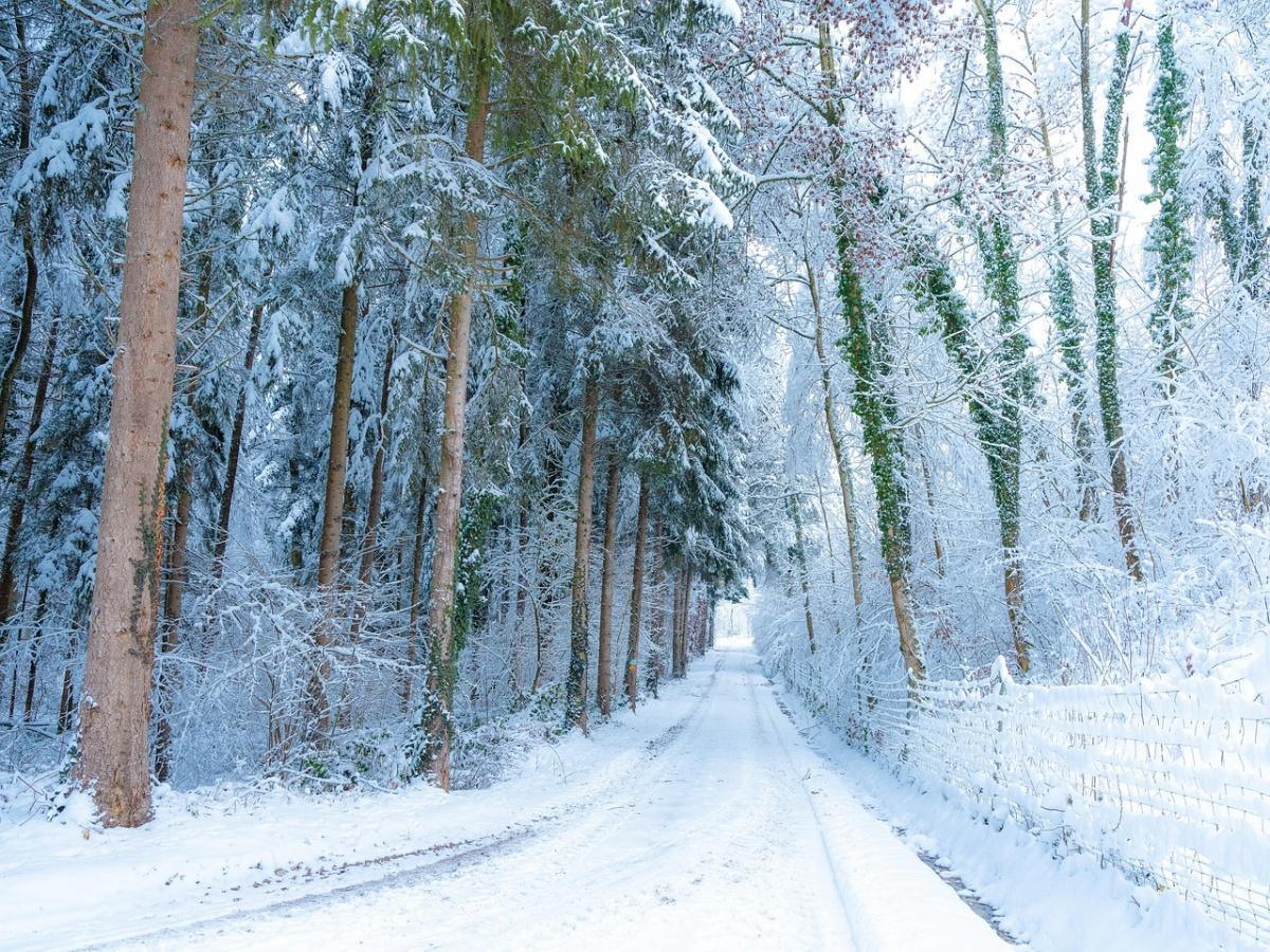 L’essentiel du mois : Janvier 2026 L’essentiel du mois : Janvier 2026