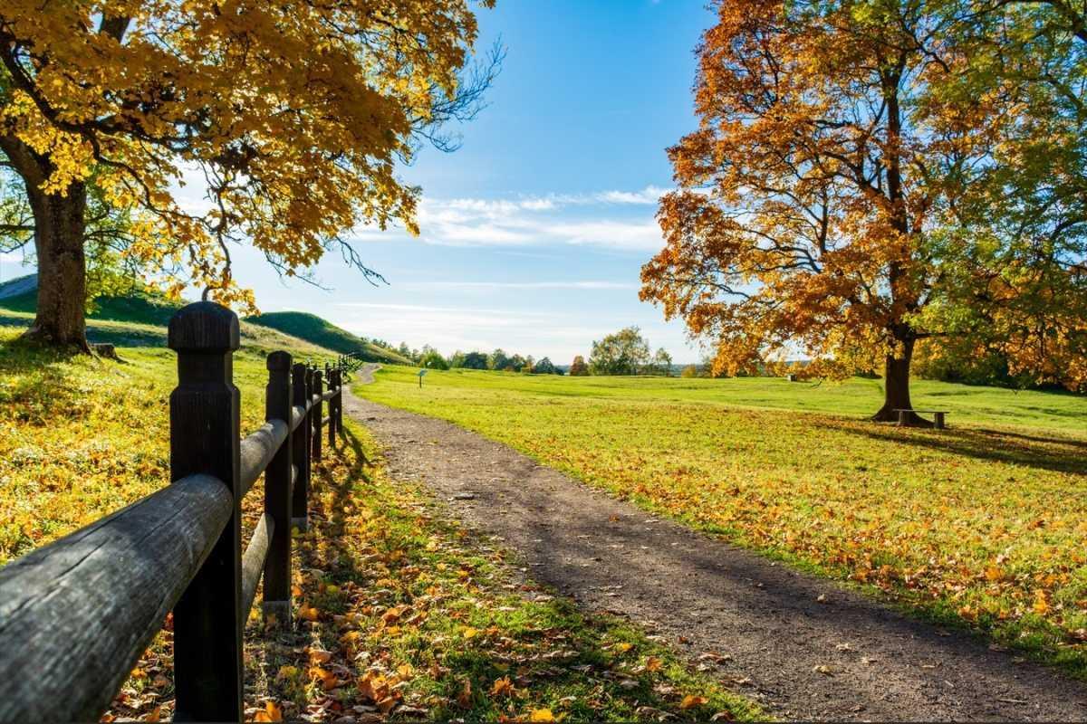 L’essentiel du mois : Septembre 2026