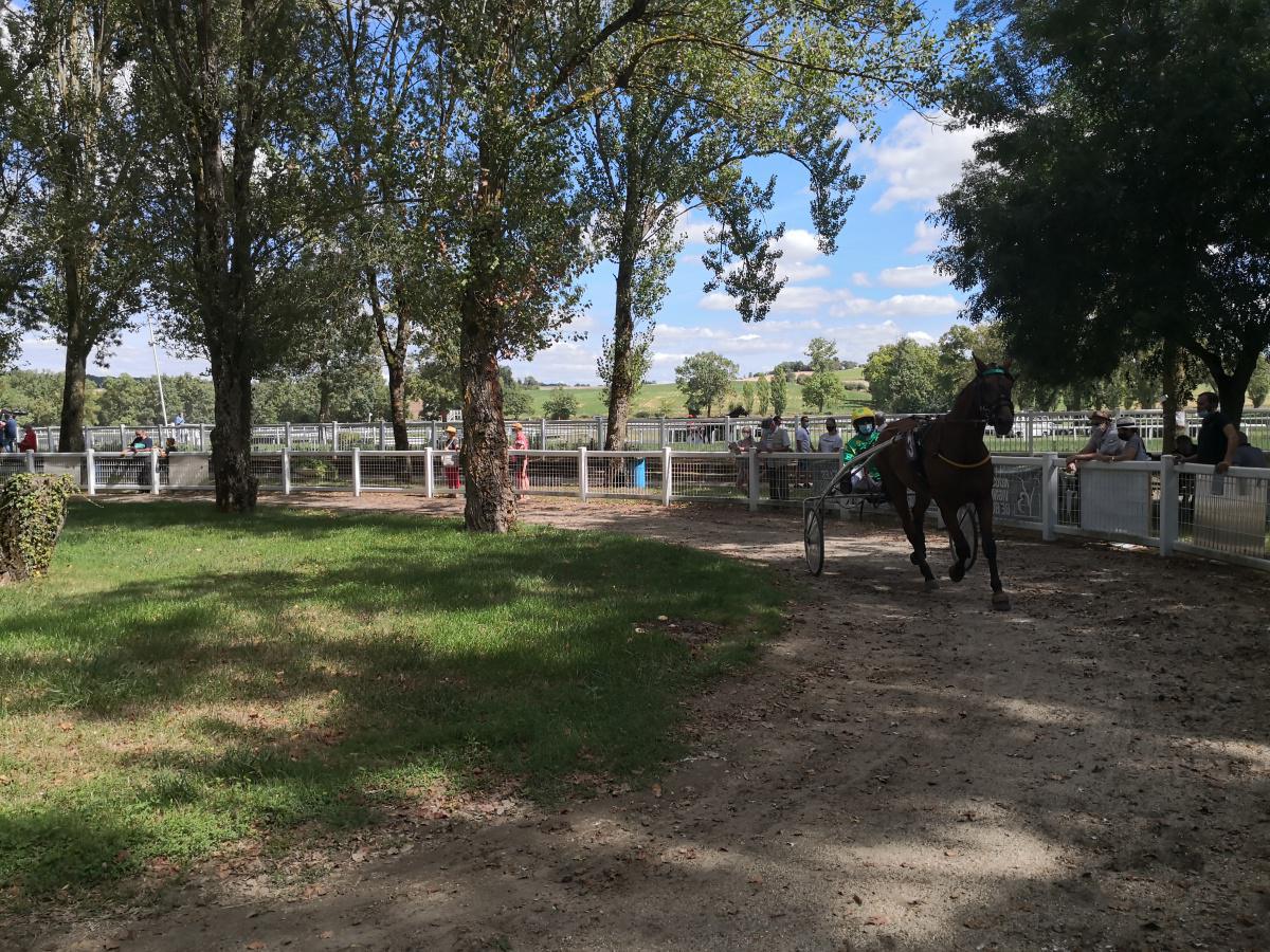 Une journée à l'Hippodrome Une journée à l'Hippodrome