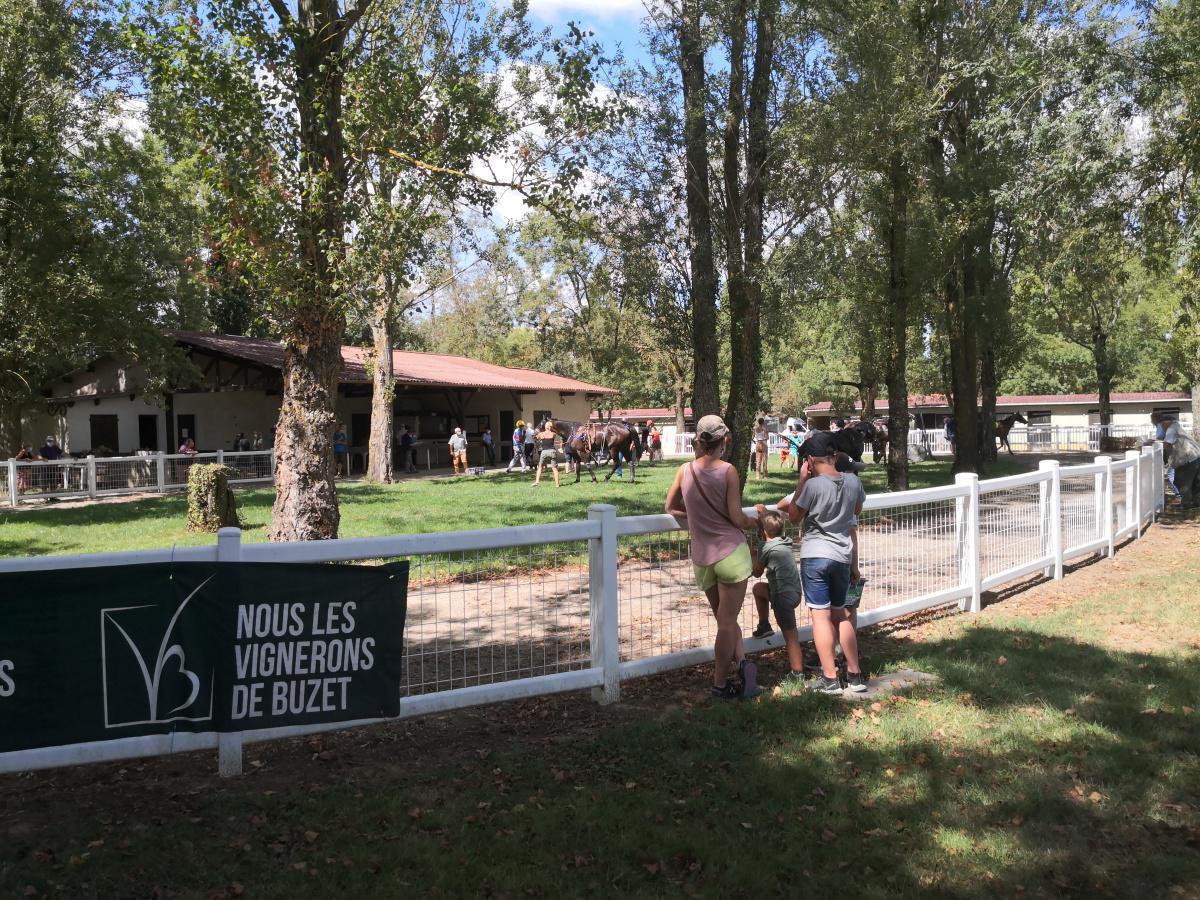 Une journée à l'Hippodrome Une journée à l'Hippodrome