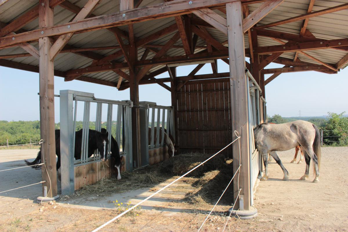 L'écurie active est-elle une solution pour le futur equestre ? L'écurie active est-elle une solution pour le futur equestre ?