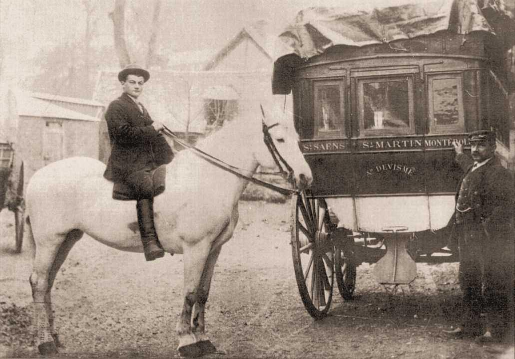 Les races de chevaux : le Percheron Les races de chevaux : le Percheron