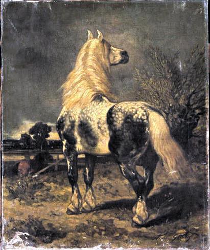 Les races de chevaux : le Percheron Les races de chevaux : le Percheron