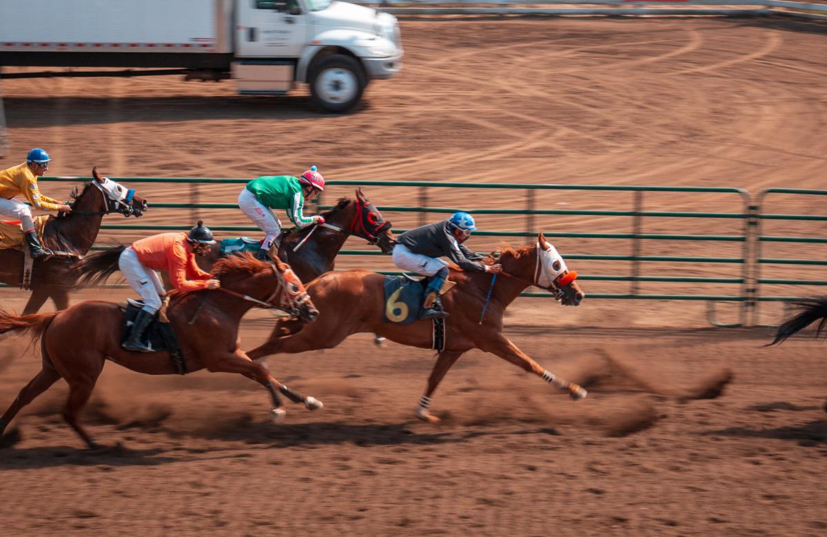 Connaître les différents types de PARIS Connaître les différents types de PARIS