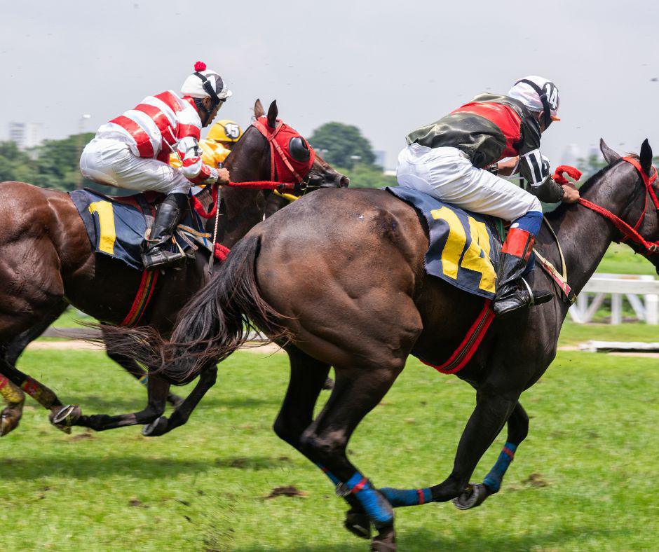 Le départ à l'élastique : une stratégie captivante dans les courses hippiques Le départ à l'élastique : une stratégie captivante dans les courses hippiques
