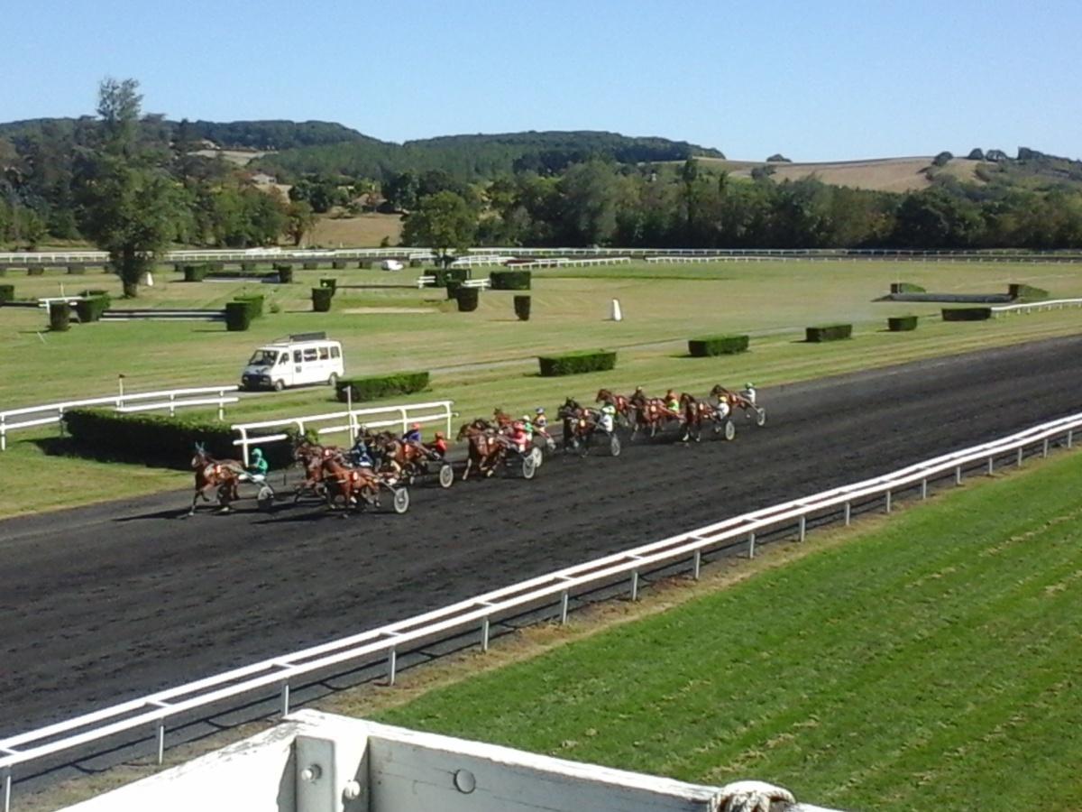 Courses de trot