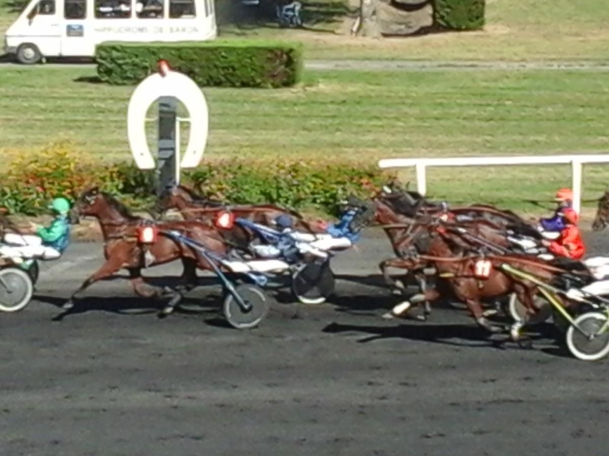 Courses de trot