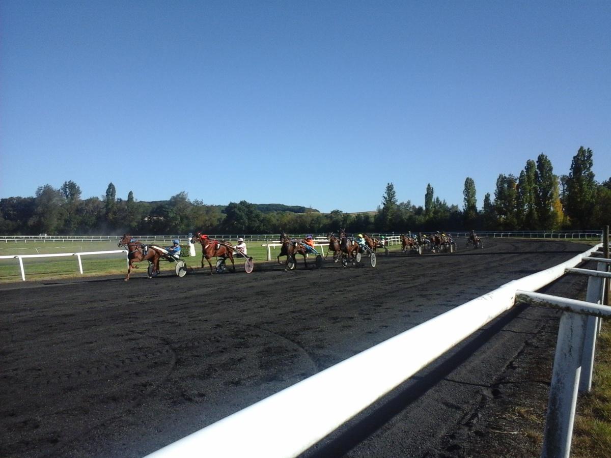 Courses de galop