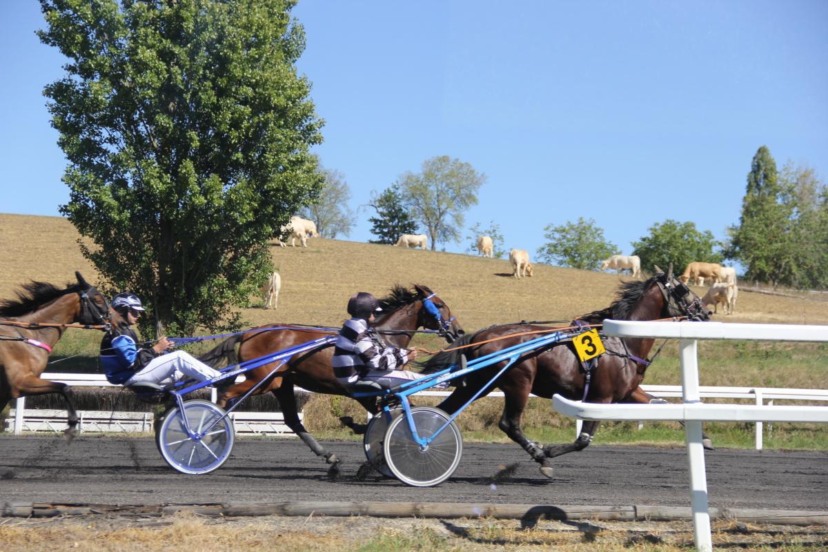 Courses de trot