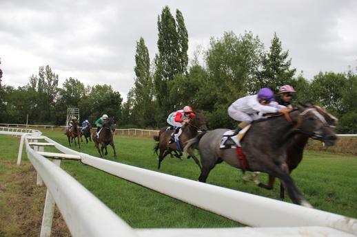 Courses de trot et galop