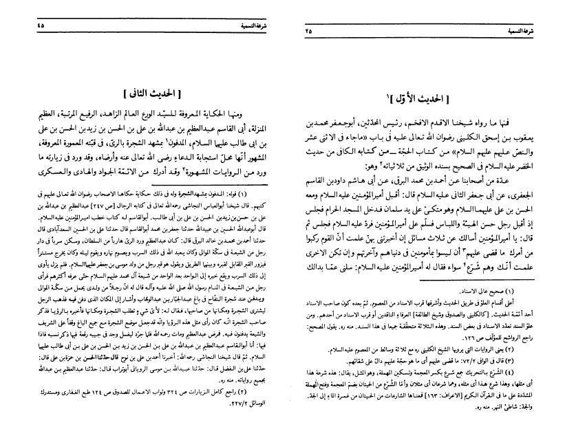 شرعة التسمية