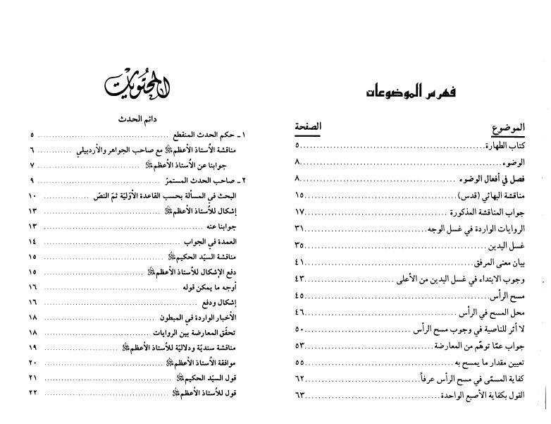 مستمسك المسائل المنتخبة