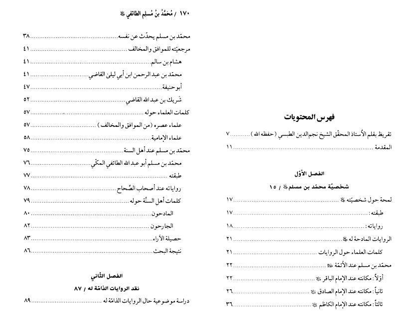 محمد بن مسلم الطائفي