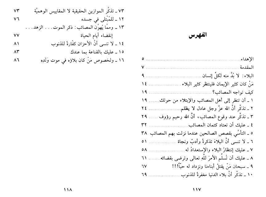 Article #8987 Article #8987