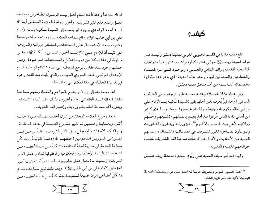 السيدة المجهولة السيدة المجهولة