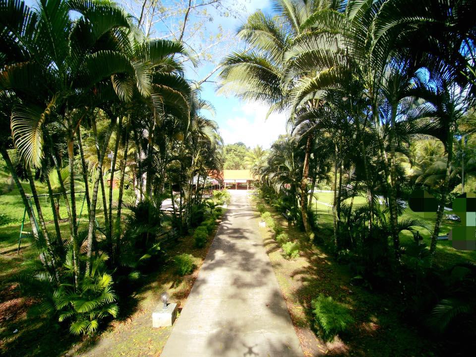 Parc d'Activités Naturelles Rivière Blanche - Martinique