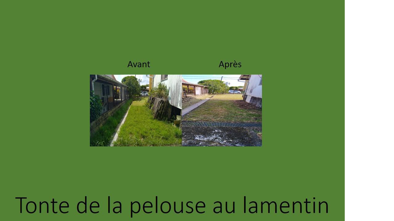 SNEA - Tonte de pelouse au lamentin 2
