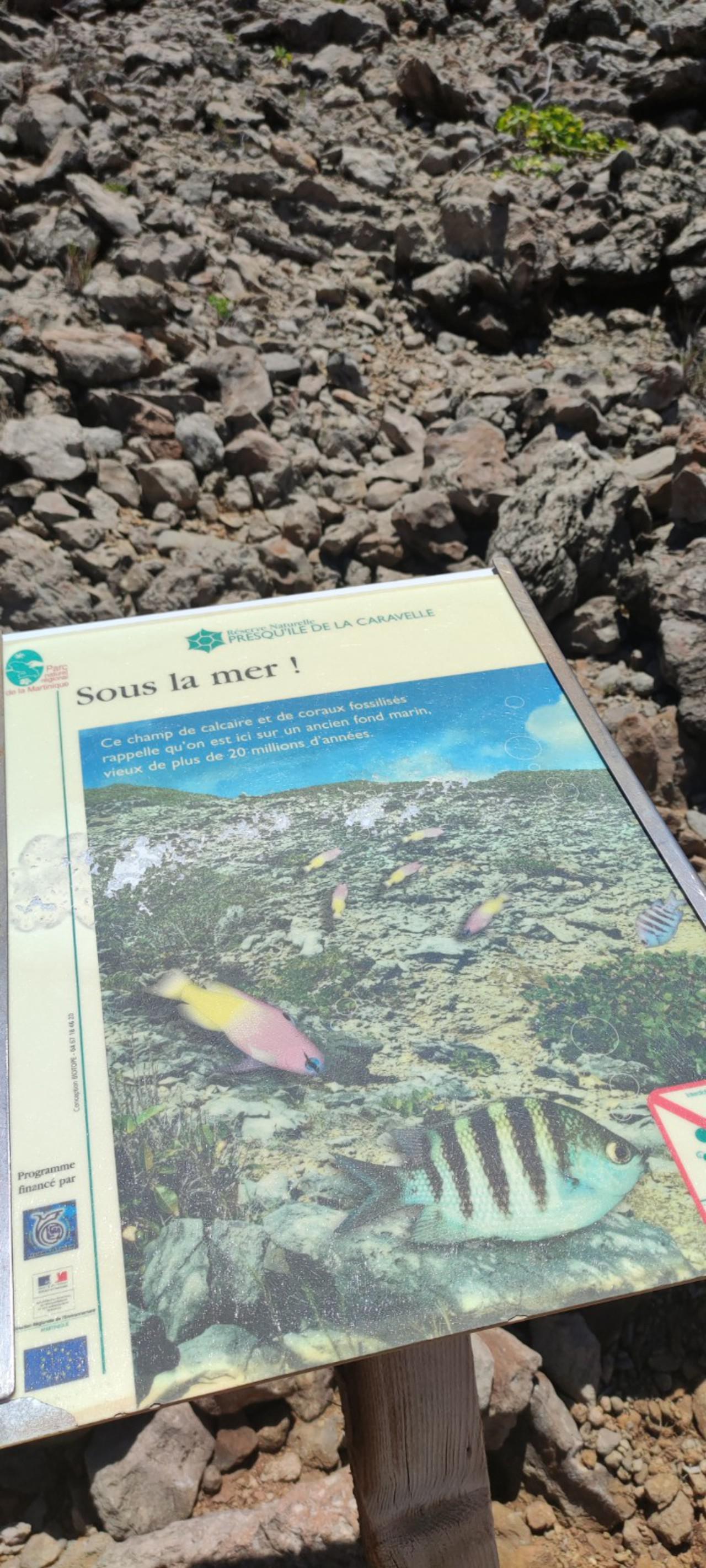 RANDO la caravelle - Sous la mer