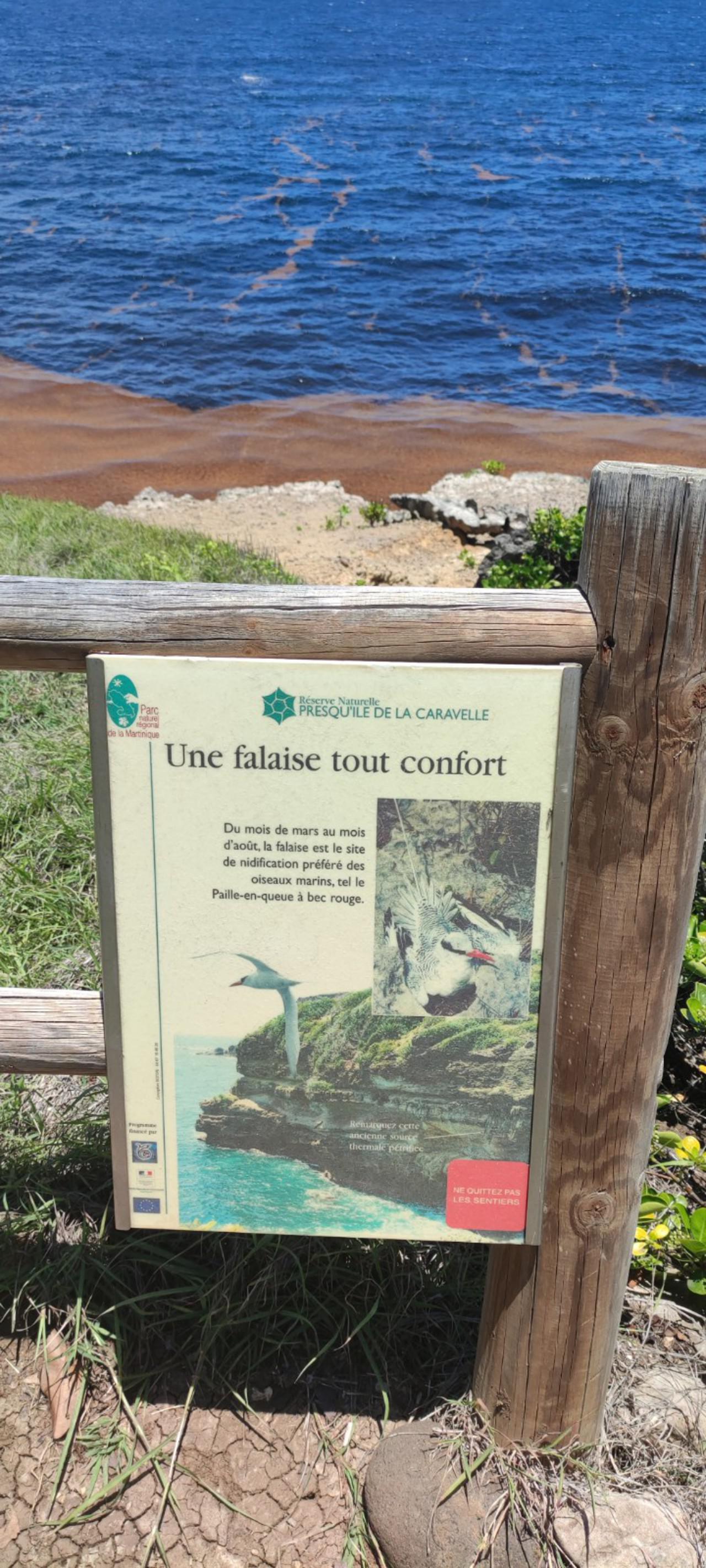 RANDO la caravelle - Une falaise tout confort