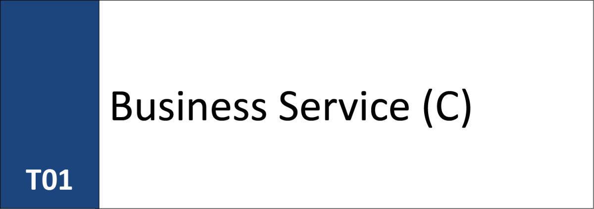 T01 Business Service (C)