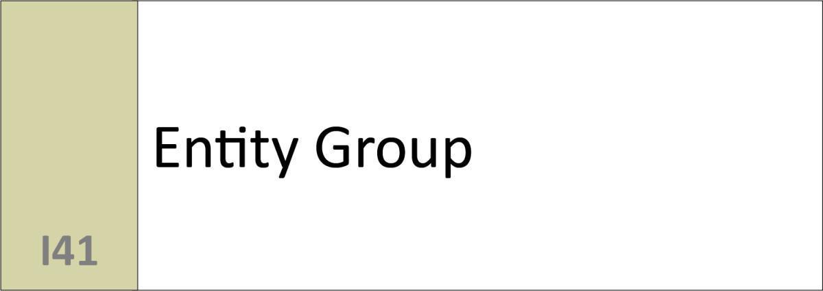 I41 Entity Group