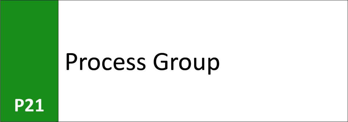 P21 Process Group