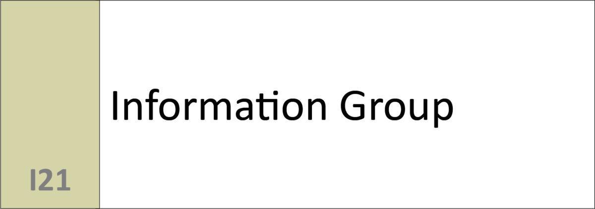 I21 Information Group 