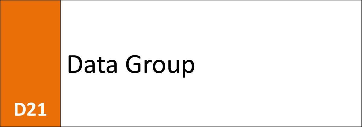 D21 Data Group