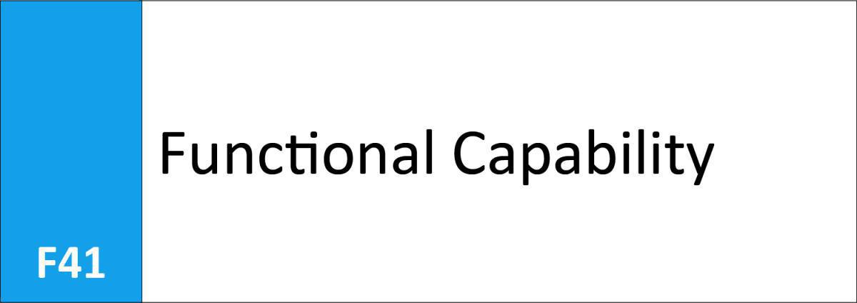 F41 Functional Capability 