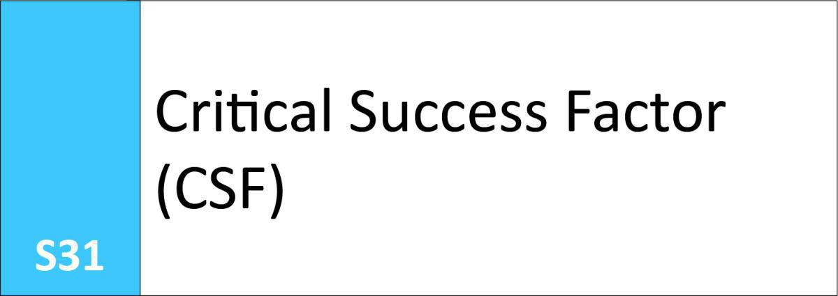 S31 Critical Success Factor (CSF)