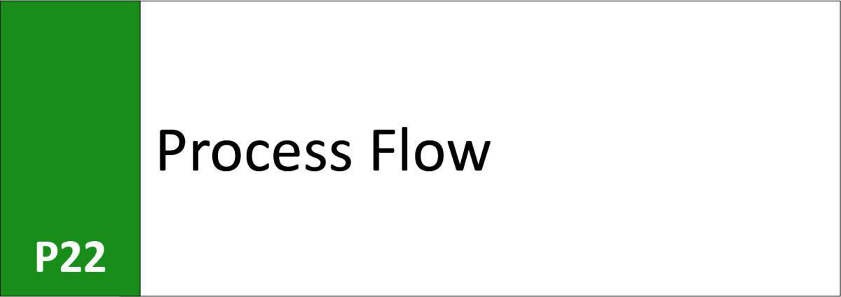 P22 Process flow