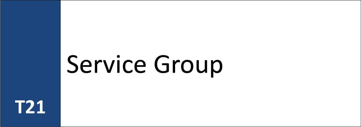 T21 Service Group