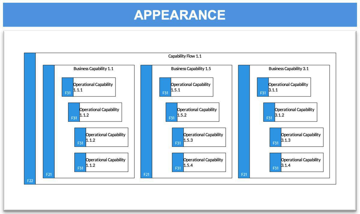 Capability Description (CD)