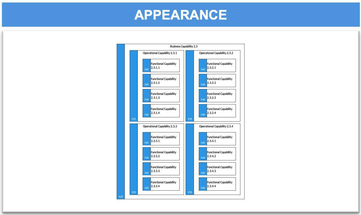 Capability Model (CM)
