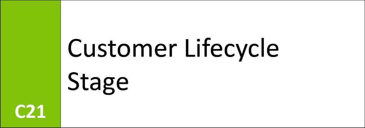 C21 Customer Lifecycle Stage