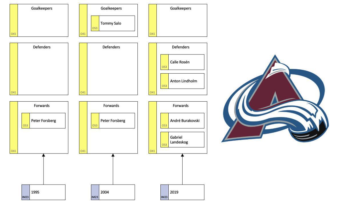 Quebec Nordiques - a study of an organization in development